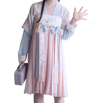 Femei Chineze Antice Maxi Rochie de Costume Tradiționale Lolita Halloween Cosplay Florale Brodate Doamna Zână Rochie Lunga