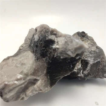80-100g Naturale Shellstone Minerale-Specimen de Acasă Decorare Piatră de Colectare Pietre
