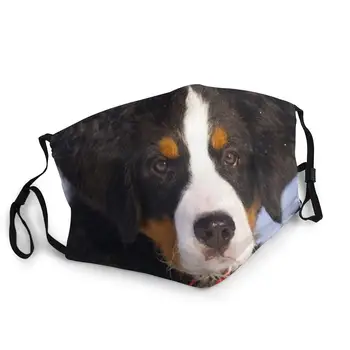 Masca de fata Acopere Fata,Bernese Mountain Dog Reglabil Ureche Bucle Reutilizabile Gura Acoperire pentru Adult și Copil de gura masca de moda masca