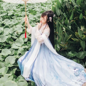 Hanfu Femei Rochie De Zână Costum Tradițional Chinezesc Macara Vintage Anul Nou Haine Dans Popular Prințesă Chineză Cosplay