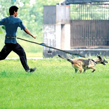 2021 Noi Reflectorizante Lesa Coarda de Tracțiune Câine de Companie care Rulează Centura Elastica Mâinile Liber sa faci Jogging Trage Lesa Caine Metal D-inel Lesa