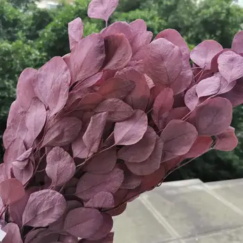 50g/20-35cm,Naturale Conservate Frunze de Eucalipt Buchet,Veșnică display aranja flori pentru Nunta, accesorii Decor Acasă