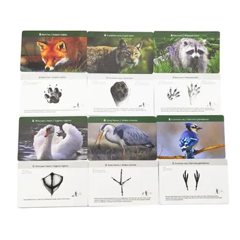 Montessori Copilul Urme De Animale Cu Carduri De Potrivire De Învățare Cuvânt Card De Educație Jucarii Montessori Materialele Cadou Pentru Copii