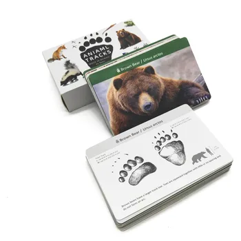 Montessori Copilul Urme De Animale Cu Carduri De Potrivire De Învățare Cuvânt Card De Educație Jucarii Montessori Materialele Cadou Pentru Copii