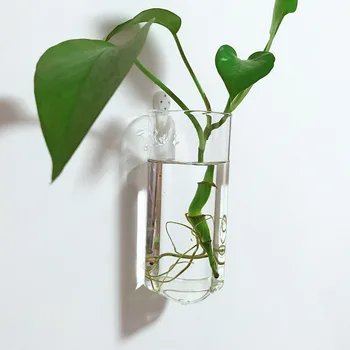 Creative Transparent Hidroponice Perete Vaze De Flori Plante Verzi Agățat De Perete Decor Nordic Vaze Decor Acasă Ornament