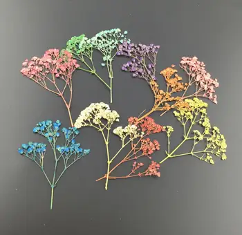 100buc Mini Presate Uscat Gypsophila Flori Pentru Nunta Petrecere Acasă Pandantiv Colier Artizanat DIY Buchet Accesorii