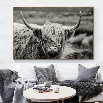 Highland Iac Animal Scoțian Tablouri Canvas Bovine Vacă Printuri de Arta de Perete Imagini Cuadros pentru Living Decor Acasă