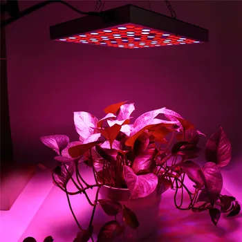 25W 45W Spectru Complet Planta cu LED-uri Cresc de Lumină Lampă Pentru Plante de Interior Grădiniță de Flori Fructe Legume Hidroponice Sistem Crească Cort Fitolampy