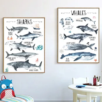 Rechinul balena Alfabetul vieții Marine Pepinieră Arta de Perete Panza Pictura Postere Si Printuri Poze de Perete Pentru Copii Băiat Fată Cameră Decor