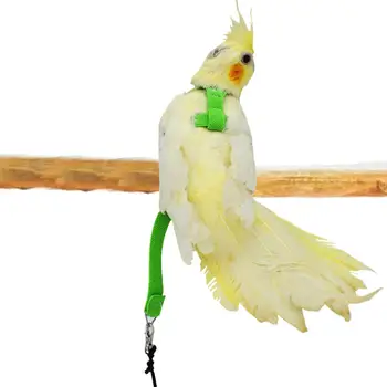 Papagal de companie Pasăre Ham Lesa cu Funia Curele de 2M de Formare în aer liber Tracțiune Coarda Pentru papagali mici ondulați Lovebird Papagalul Păsări Mici