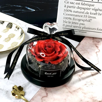 2021 Nou, Ziua Îndrăgostiților Cadou de Crăciun Real Trandafiri Frumusete si ia Rose Holiday Creative Cadouri Exclusive a Crescut în Cupolă de Sticlă