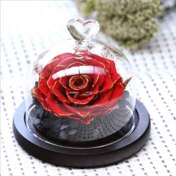 2021 Nou, Ziua Îndrăgostiților Cadou de Crăciun Real Trandafiri Frumusete si ia Rose Holiday Creative Cadouri Exclusive a Crescut în Cupolă de Sticlă