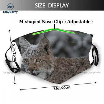 Cârpă Rece Lynx Gura Masca De Respirație Dropshipping Unisex Masca Faciala Cu Filtru