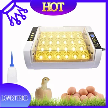 Egg Incubator Complet Automat Incubator 24BUC Rață, Ouă de Păsări Mici, Păsări de curte Incubator Digital Pui de Reproducție Cutie