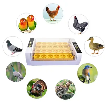 Egg Incubator Complet Automat Incubator 24BUC Rață, Ouă de Păsări Mici, Păsări de curte Incubator Digital Pui de Reproducție Cutie