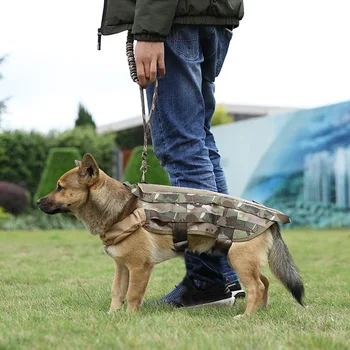Armata Tactice Lesa Câine 1000D Nylon rezistent la apa Eliberare Rapidă Extensible coarda de tracțiune de Poliție Militară de Formare de Câine Lesa