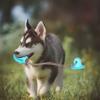 Cainele Musca Jucărie Silicon ventuza Remorcher Câine Jucărie Câini Împinge Mingea Jucărie Multifuncțională Pet de Curățare Dinte de Câine Periuta de dinti pentru Catelus