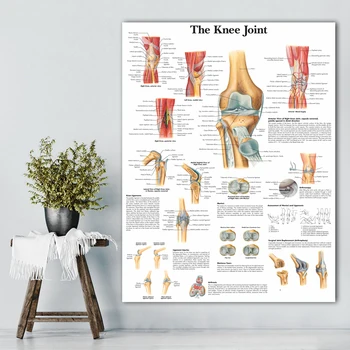 WANGART Diagrame Anatomice Și Postere Anatomie Braț Picior de Om Simplu Poster de Imprimare Panza de Perete Poza pentru Educație Medicală Birou