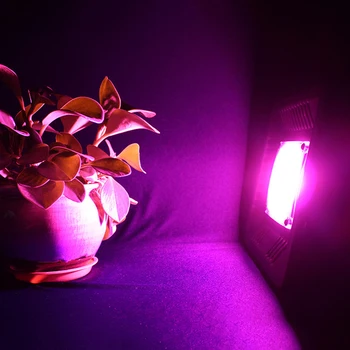 LED-uri Cresc Light Fito Lampa LED Full Spectrum AC 220V 50W 100W 150W IP65 rezistent la apa De Flori de Semănat Plante care Cresc Phytolamp