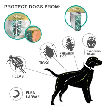 Guler de câine Eliminarea Purici și Căpușe de Prevenire Respingător Guler pentru animale de Companie Câine Naturali ai Dăunătorilor Scoaterea Ulei impotriva Puricilor Guler