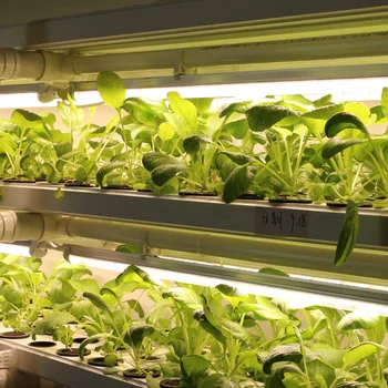 3pcs/lot T8 Tub de Plante Lămpi 120cm LED-uri Cresc Light Bar Spectru Complet cu LED-uri pentru cultivare în interior vegs semințe hidroponice crească cort