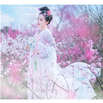 Femeie Chineză Tradițională, Costume De Dans Elegant Fairy Performanță Hanfu Broderii Orientale Tang Vechi Fotografie Rochie