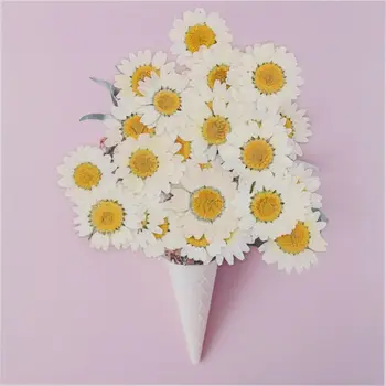 100buc Adevărat Naturale, Uscate, Presate Flori Albe Daisy Floare Presată de Rășină Bijuterii de Unghii Autocolante Machiaj Meșteșugurilor de Artă