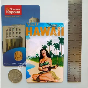Hawaii suvenir magnet poster de epocă