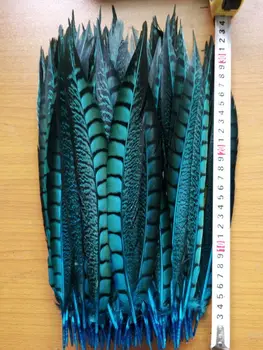 Nou! En-gros de lumină albastră 50 de pc-uri naturale de calitate Lady Amherst Fazanul de pene, 12-14inches / 30-35cm, bijuterii DIY decorare