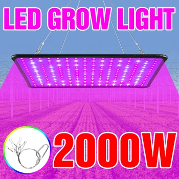 LED-uri Cresc Light 2000W Fito Crească Lampa LED-2835 Phytolamp Pentru Creșterea Plantelor de Iluminat cu Spectru Complet Cuantice Bord Pentru Plante de Interior