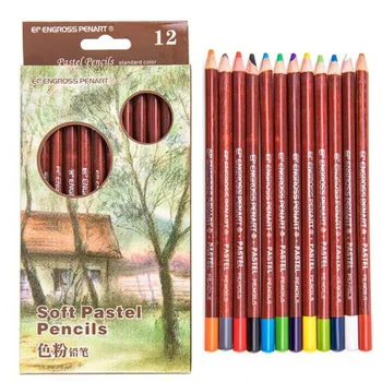 12pcs Pastel Creion Set Profesional de Pictură Pulbere de Culoare Piele de Culoare Pastel Creion pentru Artist Desen de la Școală și Rechizite de Birou