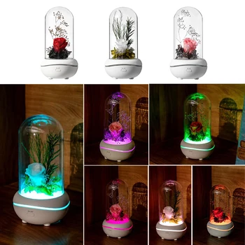 USB Veșnică Parfum Lampa Aroma Difuzor de Ulei Esențial Difuzor de Aer Proaspat Fogger Colorate de Lumină de uz Casnic Valentine Cadou