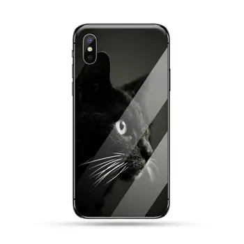 Pisica neagra Holba Ochii Caz Telefon din sticla Temperata Pentru iphone 5C 6 6S 7 8 plus X XS XR 11 PRO MAX