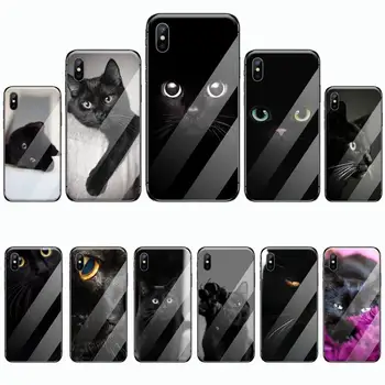 Pisica neagra Holba Ochii Caz Telefon din sticla Temperata Pentru iphone 5C 6 6S 7 8 plus X XS XR 11 PRO MAX