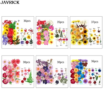 1 Pachet de Flori Uscate la UV Rășină Decorative de Flori Naturale Autocolante 3D Uscat Frumusete Decal Epoxidice Mucegai DIY Umplere Ambarcațiunile de a Face Bijuterii