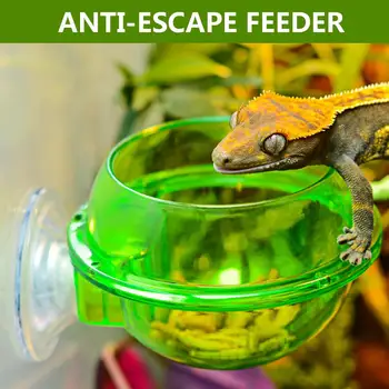 2020 NOU Reptile Alimentator ventuza Hrana pentru animale de Companie Cutie Dovada de Evacuare Alimentare Apa Vas pentru Spider Șopârlă Broasca Cricket broasca Testoasa
