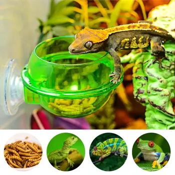 2020 NOU Reptile Alimentator ventuza Hrana pentru animale de Companie Cutie Dovada de Evacuare Alimentare Apa Vas pentru Spider Șopârlă Broasca Cricket broasca Testoasa
