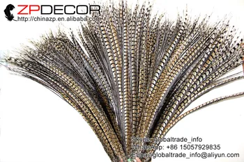 ZPDECOR 36-40inch(90-100cm) 50pieces/lot Mână, Selectați de Bună Calitate Naturale Lady Amherst Fazan Coada Lunga Pene