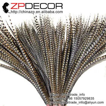 ZPDECOR 36-40inch(90-100cm) 50pieces/lot Mână, Selectați de Bună Calitate Naturale Lady Amherst Fazan Coada Lunga Pene