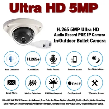 De Detectare a feței 5MP IP POE CCTV Dome de Securitate aparat de Fotografiat Impermeabil în aer liber Inteligent Audio Mini Camera de Supraveghere Video Sistem ONVIF