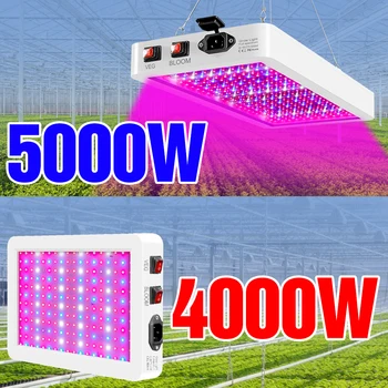 220V Spectru Complet Fito Lampa 4000W 5000W Impermeabil LED Lumină Plantelor de Interior cu efect de Seră Fitolamp CONDUS Cuantice Bord Luminile de Creștere