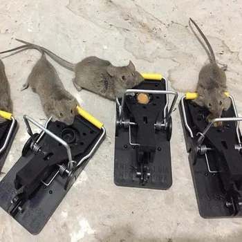 Fierbinte 10buc Capcana Mouse-ul Profesional Capcană de Șobolani Eficiente Capcane Mouse-ul Snap Capcana Rozatoare Mouse-ul de Control Catcher