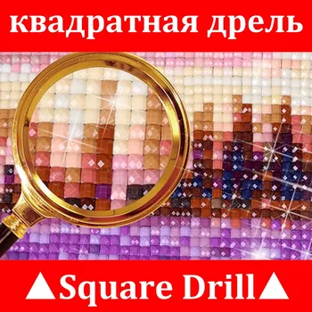 5D Diy diamant pictura cruce cusatura de Pisică și păsări Complet Piața Diamant broderie Manual Stras Mozaic B620