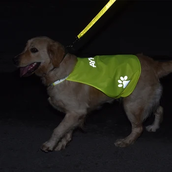 Reflectorizante Viață De Câine Vestă Lavabil Respirabil Siguranță Costume De Baie Mici Pentru Câini De Talie Medie În Aer Liber Animale De Companie De Vară Viața Sacou Haina Consumabile