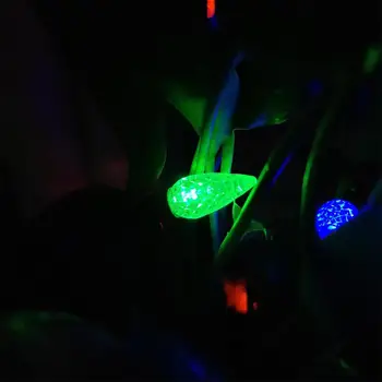 50 Conta C6 Mini Lumini cu LED-uri,Multi-Color Led Șir de Lumini pentru Exterior Pomi de Crăciun Iluminat Decor,Fir Verde,UL Listat