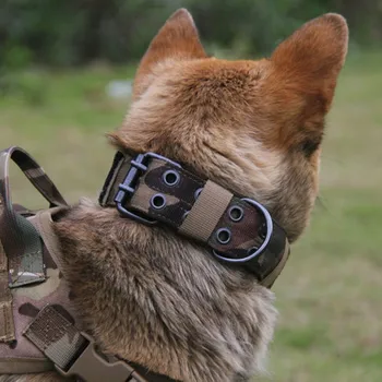 Nailon purta câine de tracțiune guler în aer liber, antrenament tactic guler militar Câine guler Cu 2 Randuri Catarama Si Inel Lesa